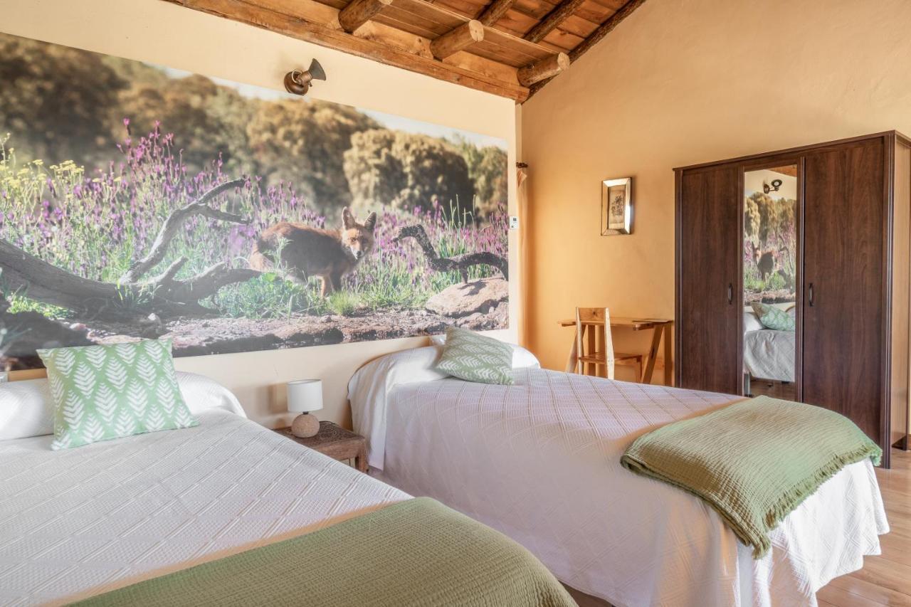 Eco-Lodge En La Reserva Privada Campanarios De Azaba - Proyecto De Conservacion Espeja Exterior foto